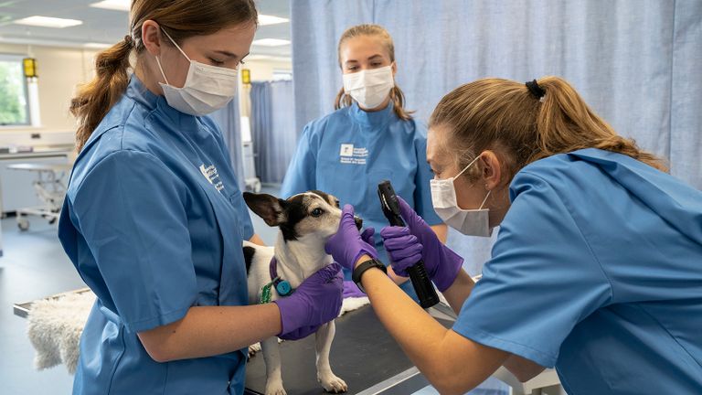 University of Nottingham