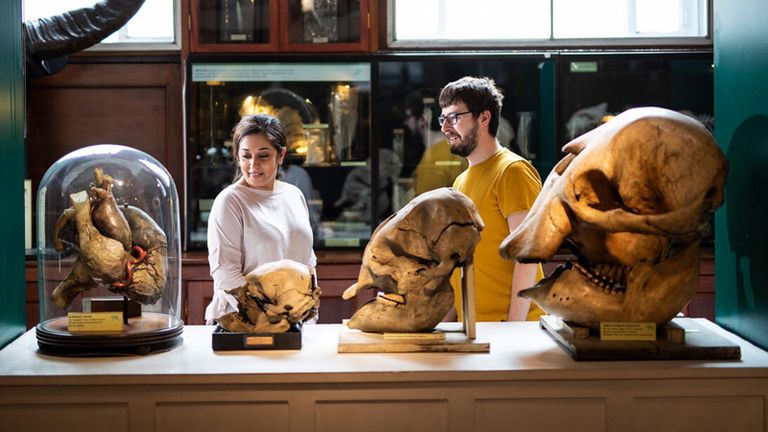 University College London